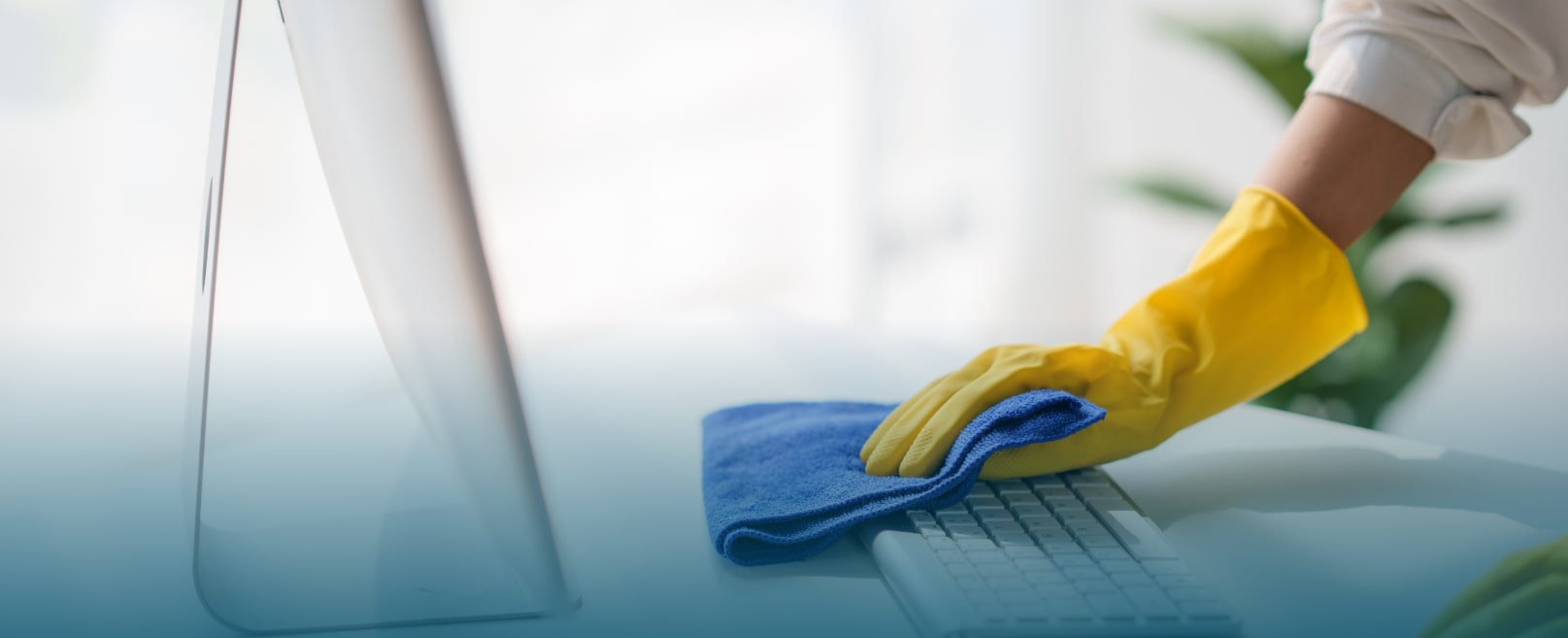 dynamies-cleaning-service-impresa-pulizie-lugano-dettagli